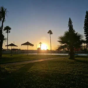 https://estudio-31.es-andalucia.com
